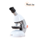 Микроскоп Celestron S82102 увеличение до 640 раз
