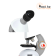 Микроскоп Celestron S82102 увеличение до 640 раз