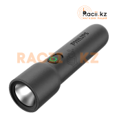 Фонарь Philips SFL1235
