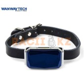 GPS трекер для животных WanWay GP08